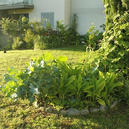 Rochas Apart Garden Refuge Funchal  Exterior foto
