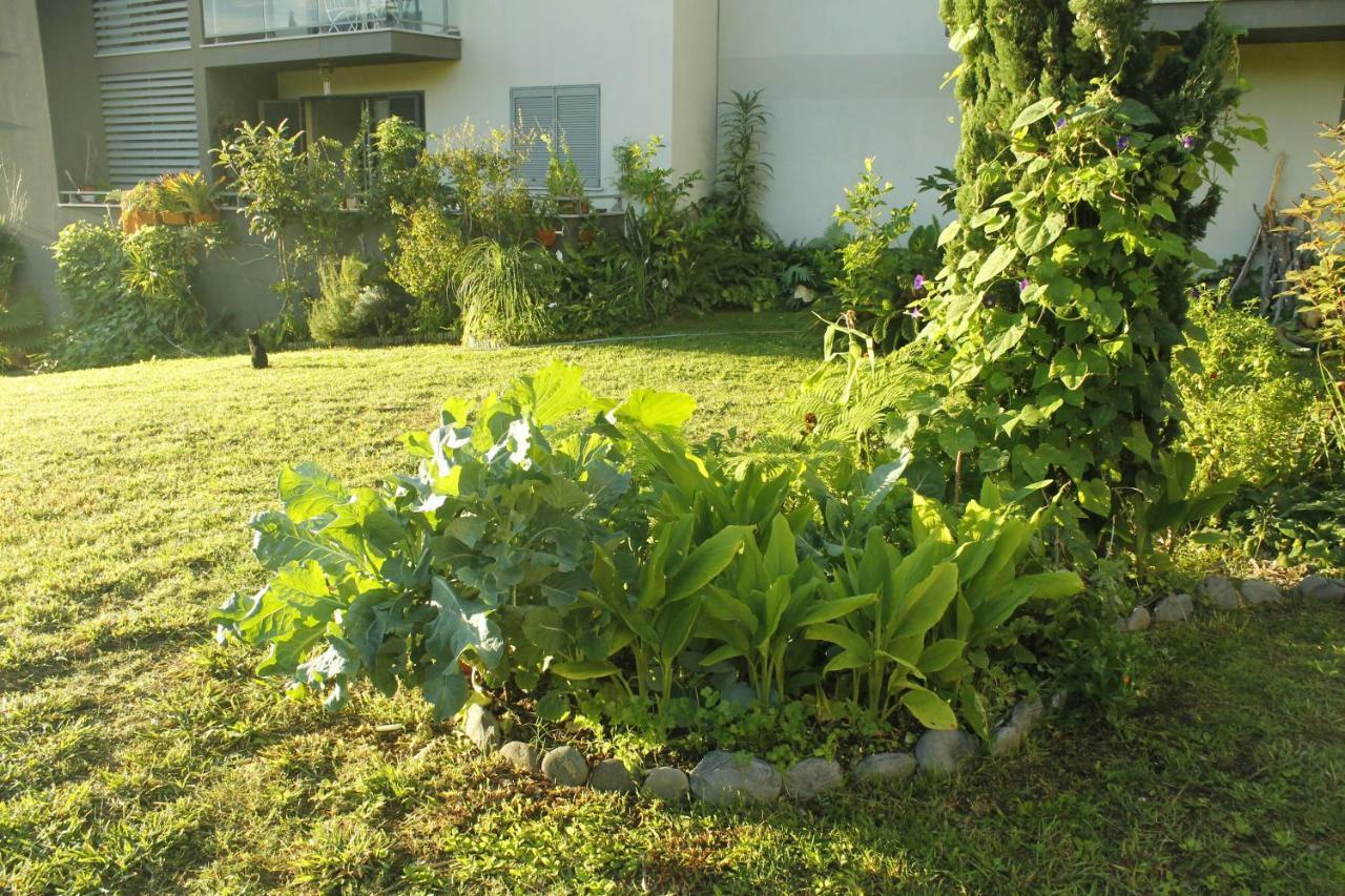 Rochas Apart Garden Refuge Funchal  Exterior foto