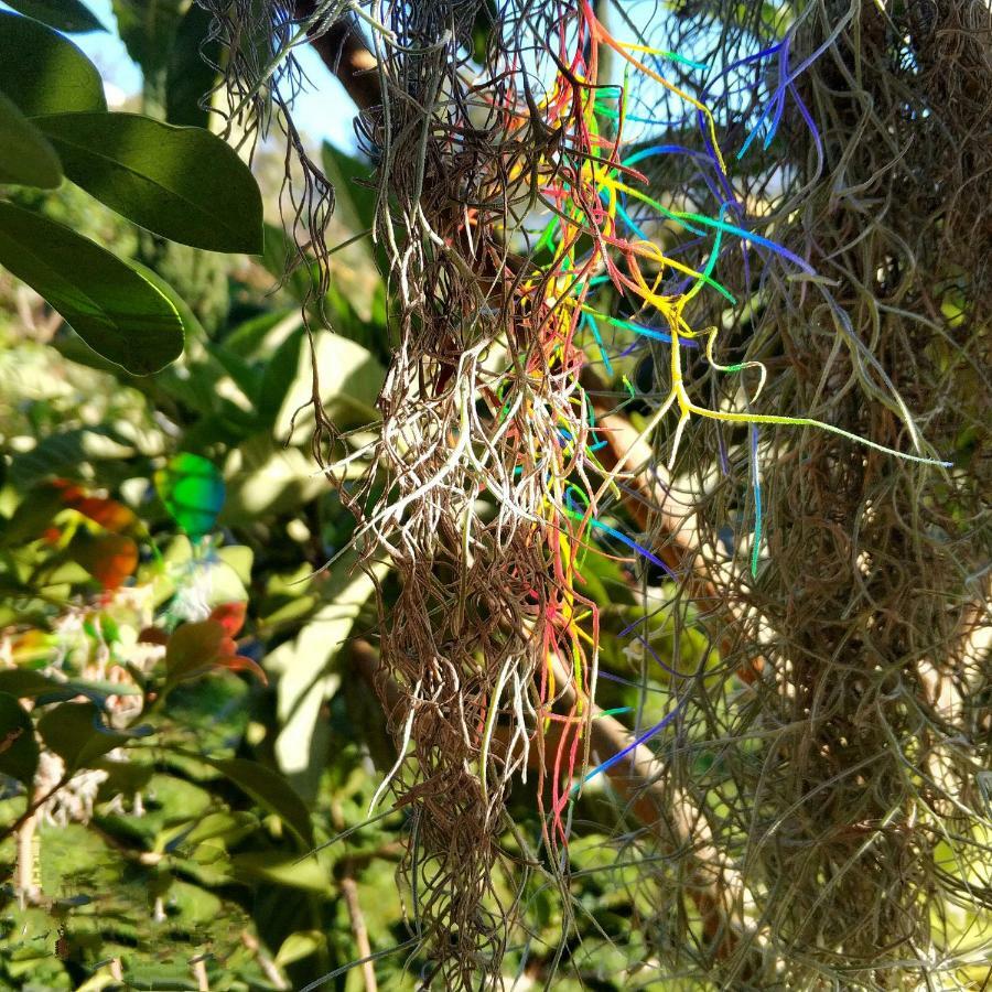 Rochas Apart Garden Refuge Funchal  Exterior foto