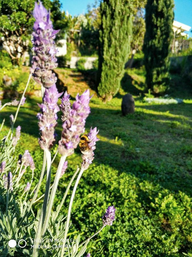 Rochas Apart Garden Refuge Funchal  Exterior foto